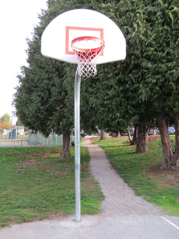 Basketball Hoop Installation in Arvada, CO